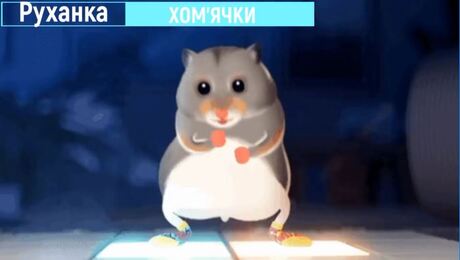 До с. 11. Руханка «Хом’ячки»