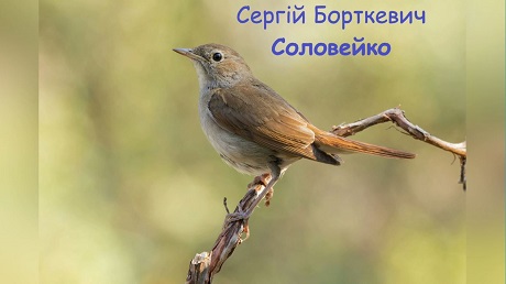 Сергій Борткевич - Соловейко (Оригінальне змонтоване відео)