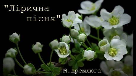 с. 15. Микола Дремлюга. Лірична пісня
