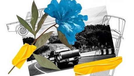 Океан Ельзи. Квіти мінних зон
